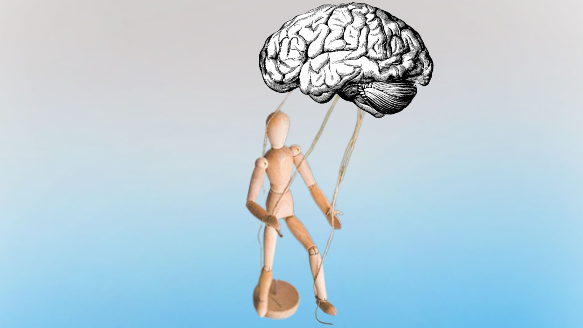 Les croyancent nous façonnent et nous manipulent